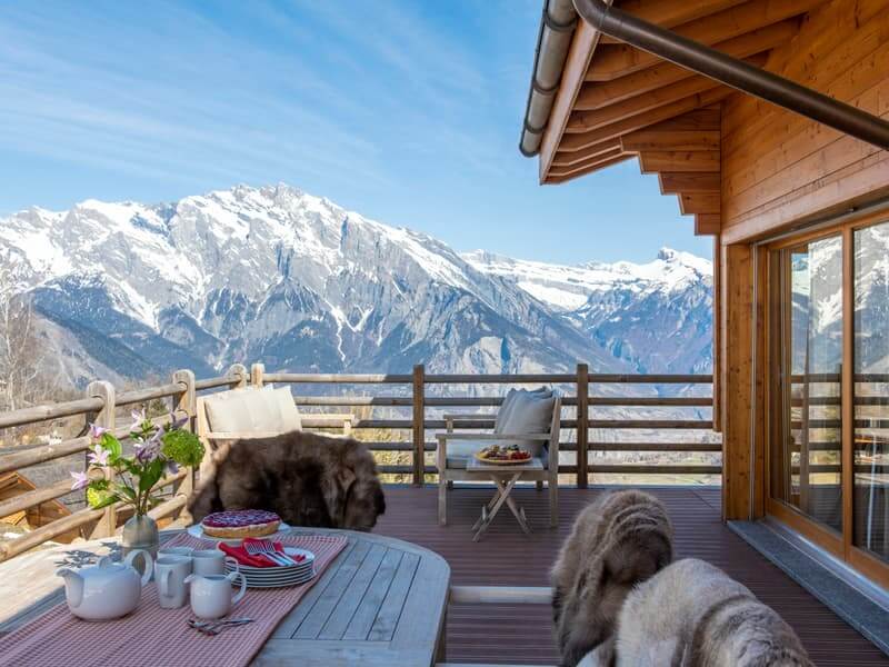 Chalet Skyfall in fresh snow